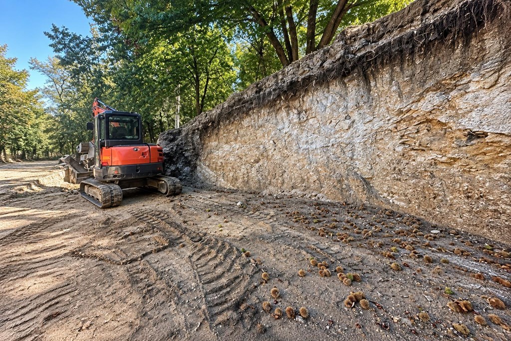 Foto 1 Deja tu parcela lista para construir: acondicionamiento de terrenos en Poio