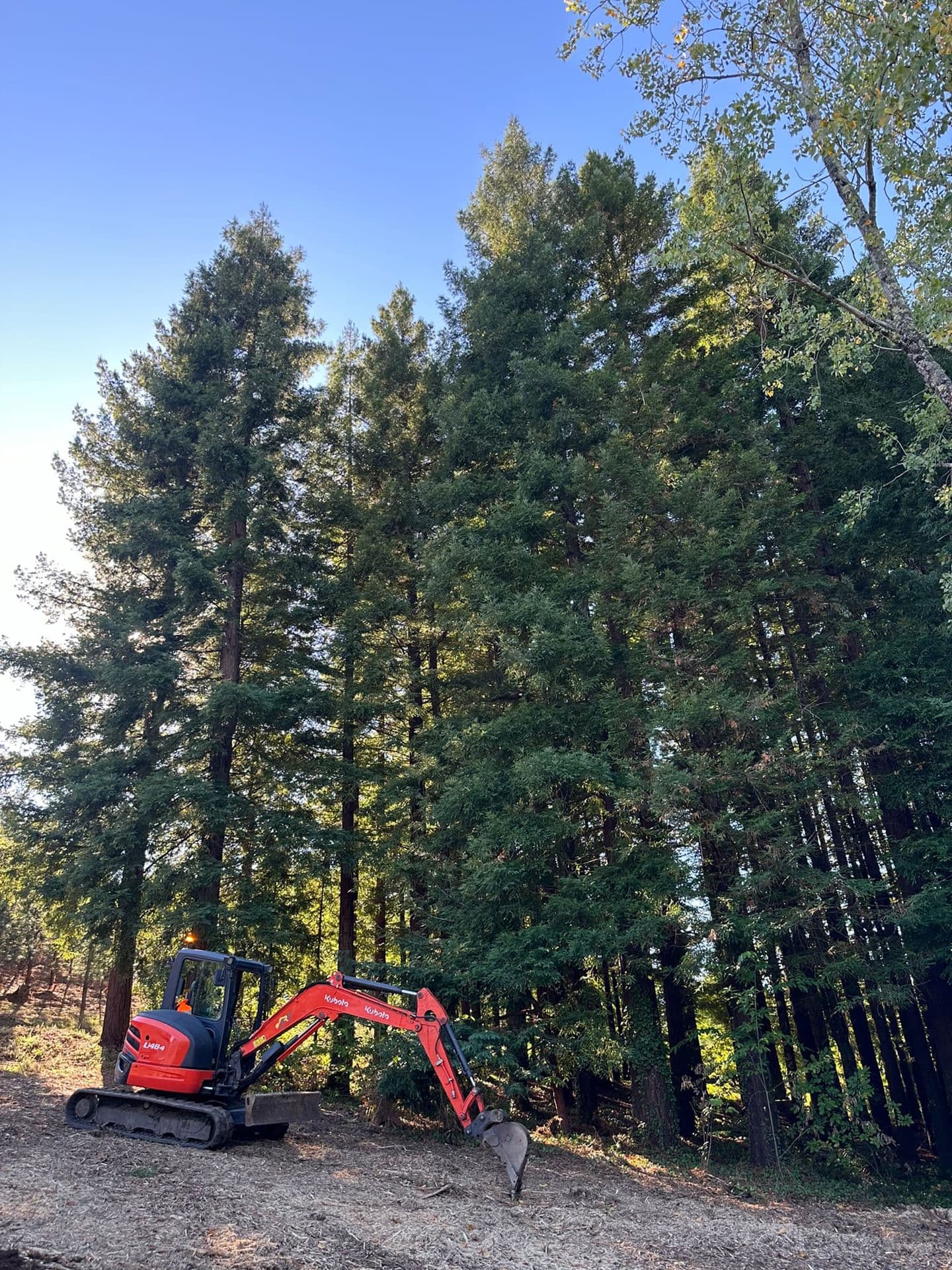   Contacta con JRF para solicitar nuestro servicio de plantaciones