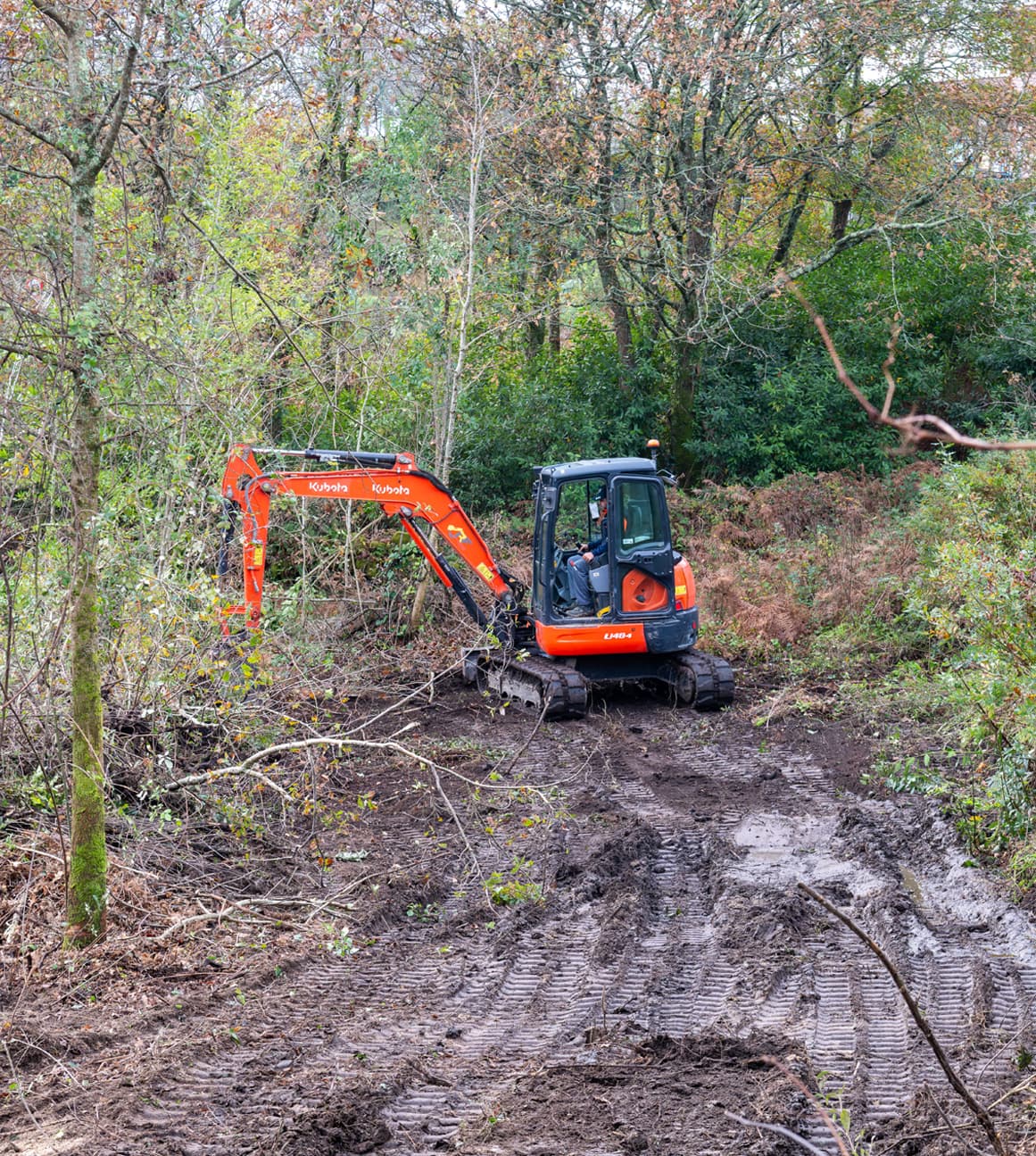 Plantaciones en Pontevedra