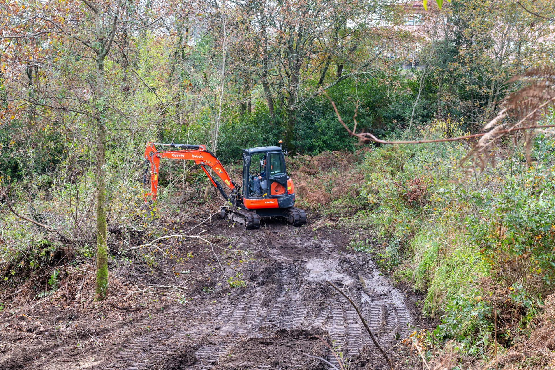 Plantaciones excavaciones en Pontevedra