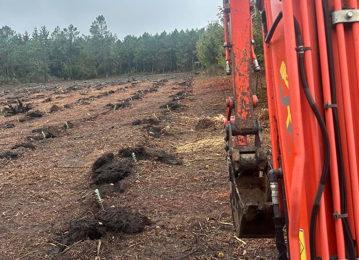 Empresa de excavaciones en Pontevedra