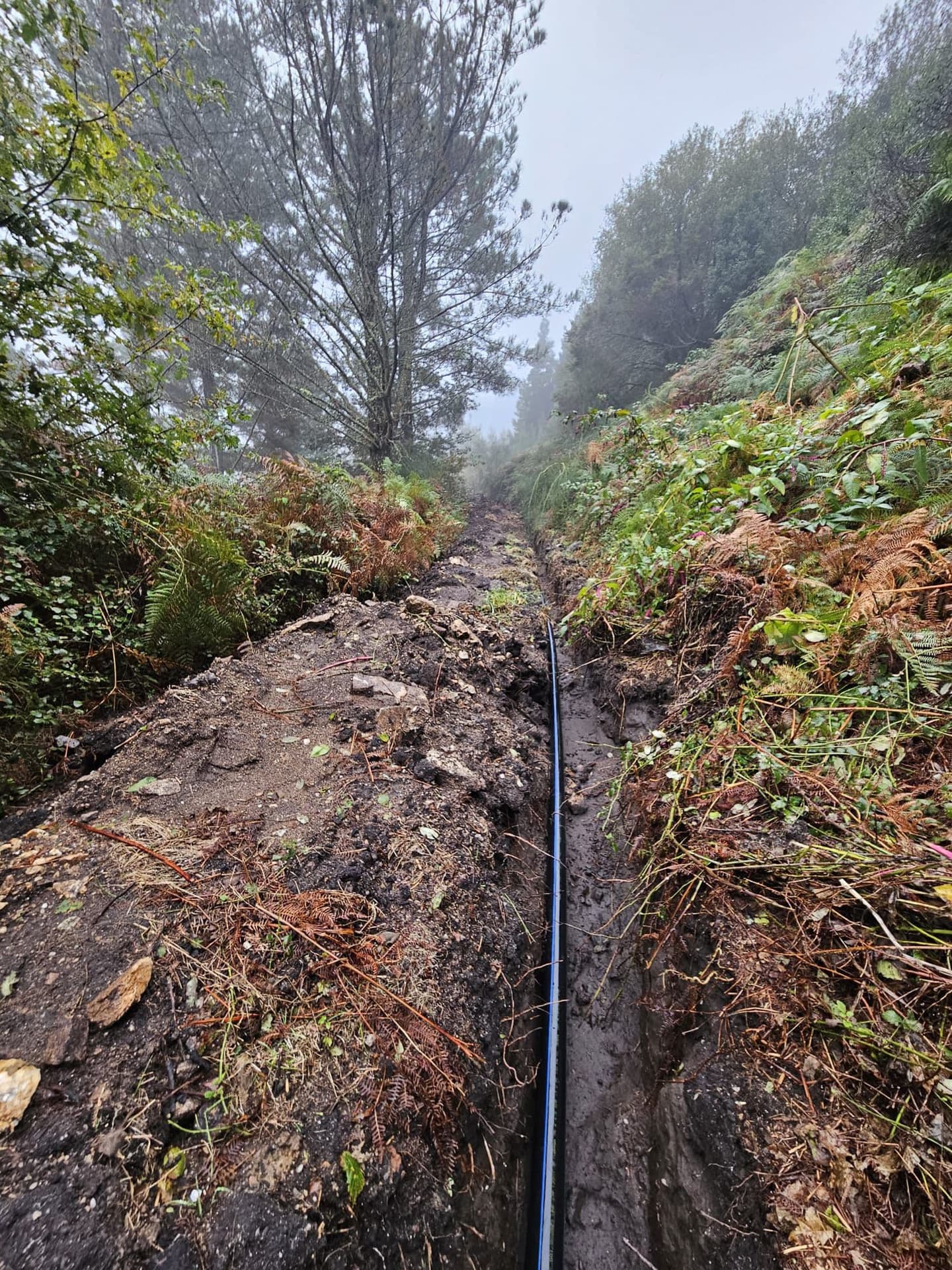 ¿Necesitas realizar algún trabajo de canalización? Somos lo que buscas