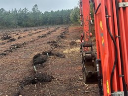Plantación en Pontevedra