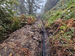 Saneamientos y tráidas