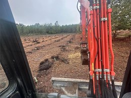 Trabajos de plantación